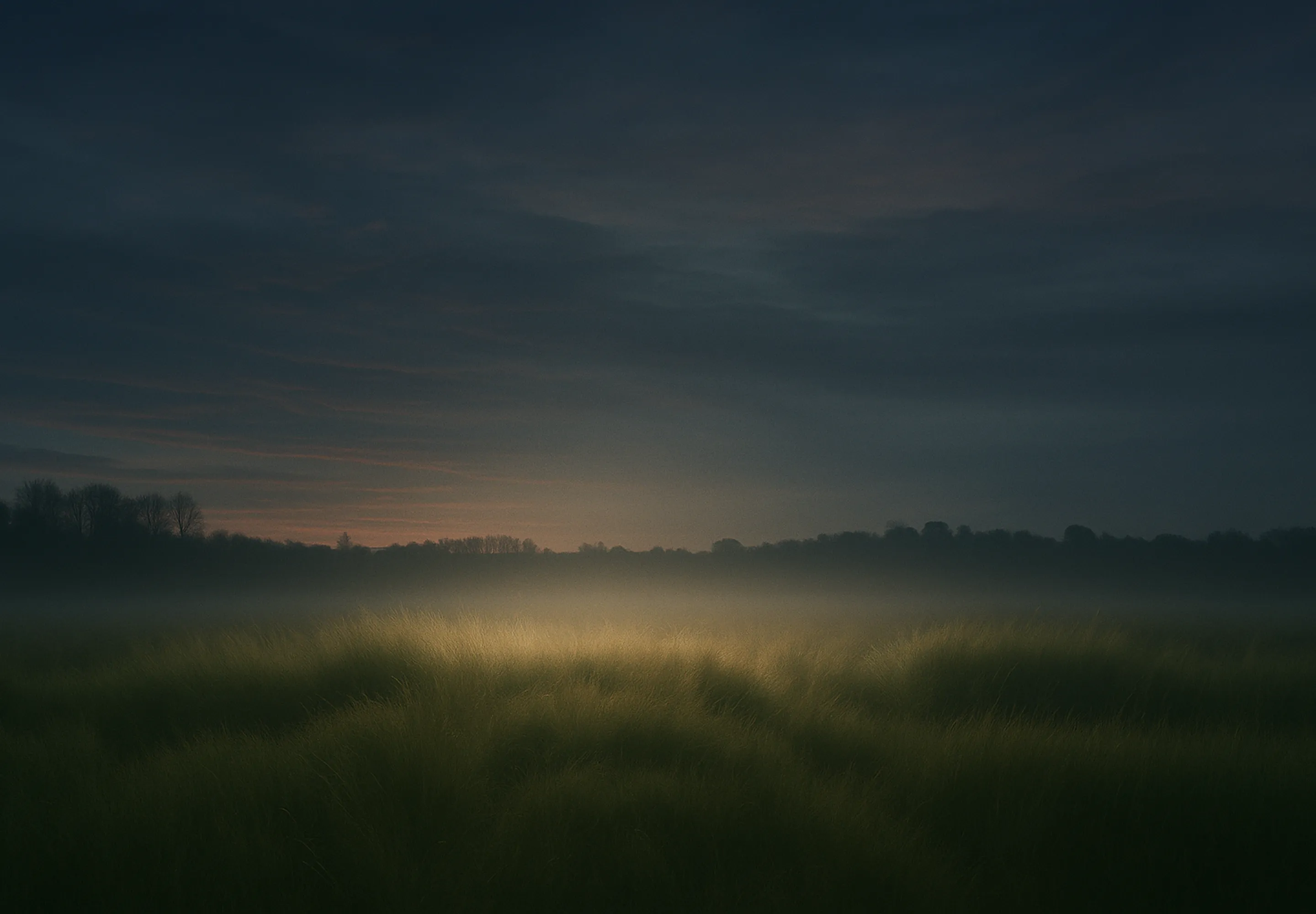 Homepage Background